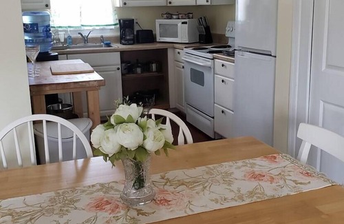 Bolivar Apartamento | Spacious 2 bedroom, 2 bath, full kitchen, centrally located