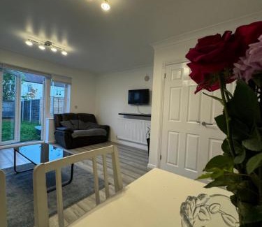 Custom House Casa | Spacious 3 bedroom Home, with private driveway 5 minutes from Excel Centre & Custom House