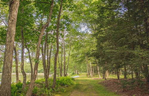 Reeders Cabina | Spacious 3 Bedroom Lake View Cabin, covered porch for BBQ