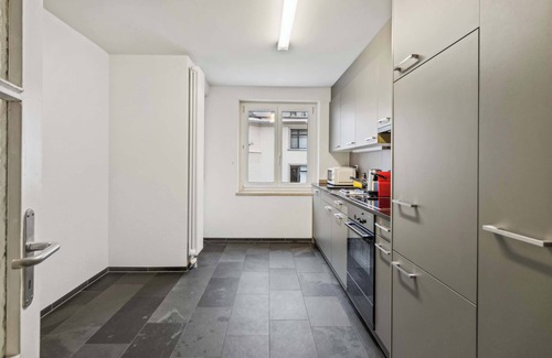Alt-Wiedikon Apartamento | Lovely flat near Museums