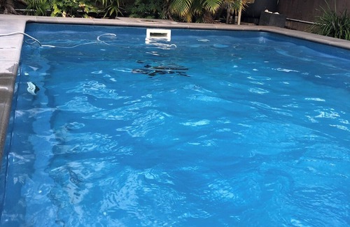 Brisbane Airport Casa | Spacious 4 bedroom house in delightful Hendra.