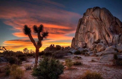 Twentynine Palms Casa | Spacious 4BR/3BA Family Retreat Near Joshua Tree