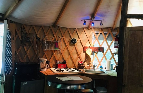 Trumansburg Cabina | ¡La yurta espaciosa y aireada es deliciosa para glamping con comodidad!