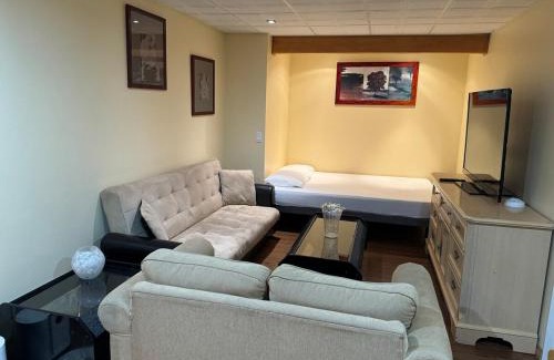 Chestermere Apartamento | Spacious and beautiful lower Apartment