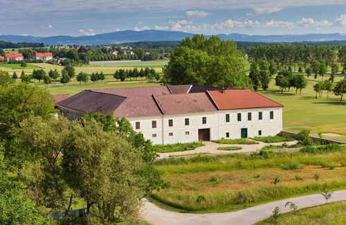 Steinakirchen am Forst Apartamento | Amplio apartamento que consta de 2 habitaciones con baño privado.