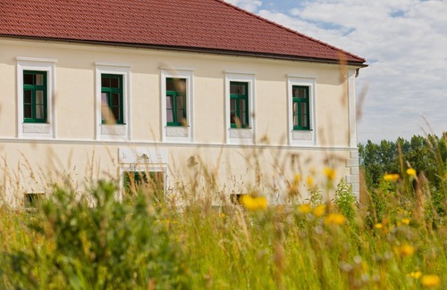Steinakirchen am Forst Apartamento | Amplio apartamento que consta de 2 habitaciones con baño privado.
