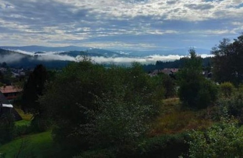 Rabenstein Apartamento | Spacious apartment with ski lift behind the house