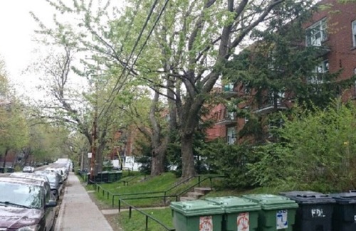 Cote-Des-Neiges—Notre-Dame-De-Grace Apartamento | Spacious bedroom/ Looking for a roommate