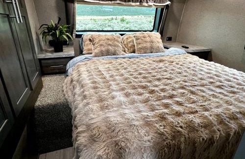 Questa Casa | Spacious Camper on a Llama Rescue Ranch with Stunning Views near Questa, New Mexico