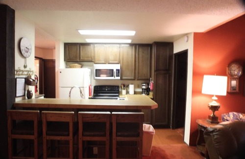 Mammoth Lakes Cabina | Spacious condo w/ large loft , Minutes from Canyon Lodge & Village