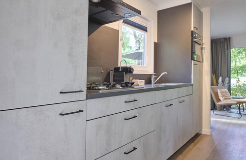 Nunspeet Casa | Spacious cosy lodge on a quiet forest park