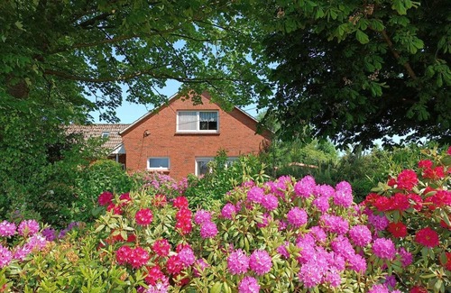 Westerholt Casa | Spacious, cozy and barrier-free vacation home with dog in a secluded location
