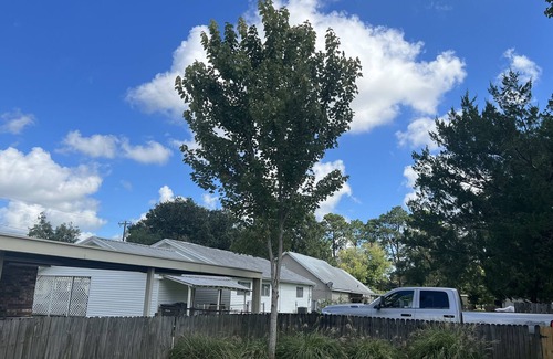 Breaux Bridge Casa | Spacious family home with plenty of amenities right off I-10.