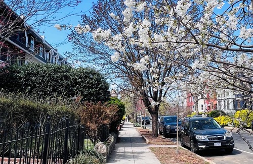 Bloomingdale Casa | Spacious four-bed, three-and a half- bath townhome in Washington DC.