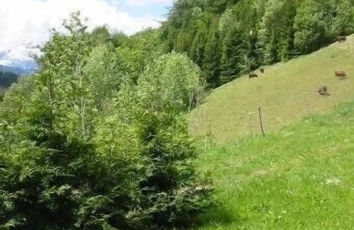 Saint-Jean-de-Sixt Apartamento | Amplio apartamento amueblado con vistas a la gama Aravis, soleado, tranquilo, 76 m2