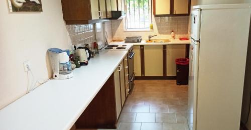 Chios Apartamento | Spacious guesthouse with garden and seaview