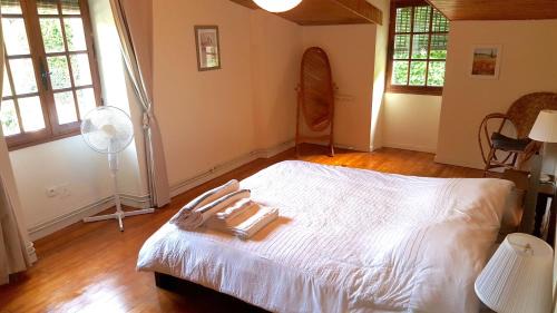 Celles Casa | Spacious holiday home with pool in pretty village