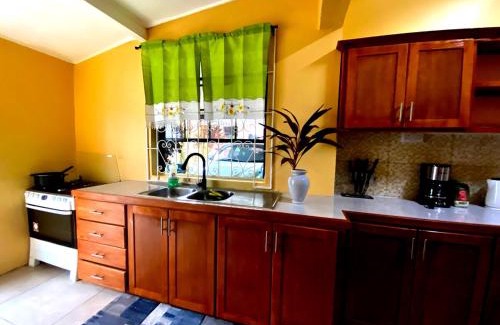Castries Apartamento | Spacious home near city suite!