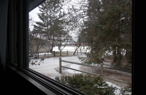 Kalkaska Casa | Spacious Home near Trails & Attractions