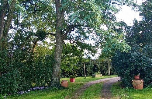 Montoldre Casa | Amplia casa, se admiten mascotas, terreno cerrado de 3000m2 con muy linda vista !!