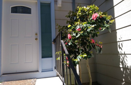 South San Francisco Apartamento | Amplia y nueva casa privada en el sur de San Francisco