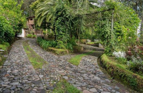 Guangopolo Chalet De Esquí | Spacious Quinta with green areas