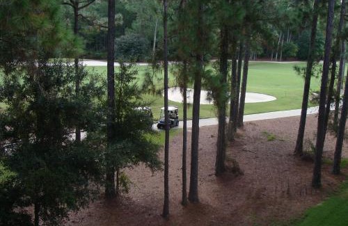 St. Augustine Casa | Spacious with golf and wildlife views 1233-4