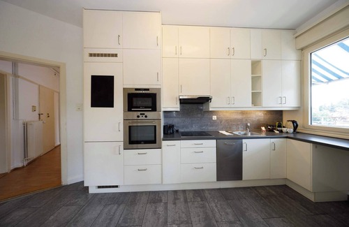 Sihlfeld Apartamento | Spacious Zurich Apt, Huge Terrace & Views
