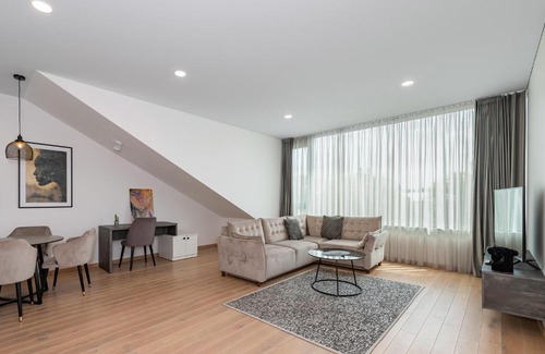 Kaunas Apartamento | Spaciuos 1 BD Apt by Domvia