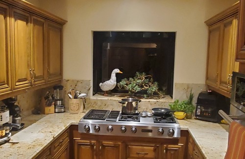 Southeast Carmel Casa | Spanish Villa in Carmel-by-the-Sea -- Family beach vacay!