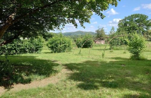 Moreton Otro | Sparrow Hill Orchard