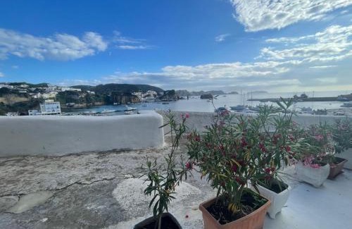 Ponza Casa | Specchio Marino