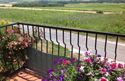 Saint-Fort-sur-Gironde Casa | Hermosa casa de la cima de la colina con piscina privada y vistas impresionantes Infinito