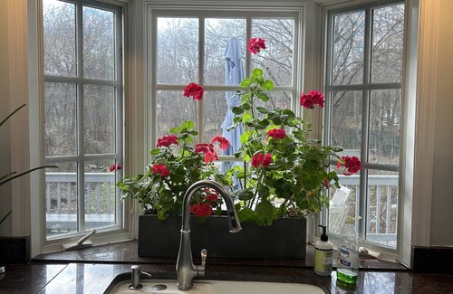 Norwalk Casa | Luxury country home New Canaan border - price reduced for quick rental June/July