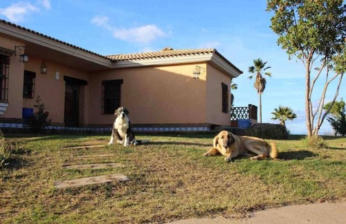 Valverde del Camino Casa | Espectacular Villa con pistas dptvas privadas