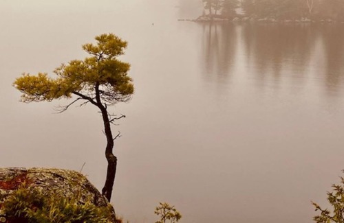 Utterson Cabaña | Spectacular Boathouse on Beautiful Skeleton Lake in Porcupine Bay