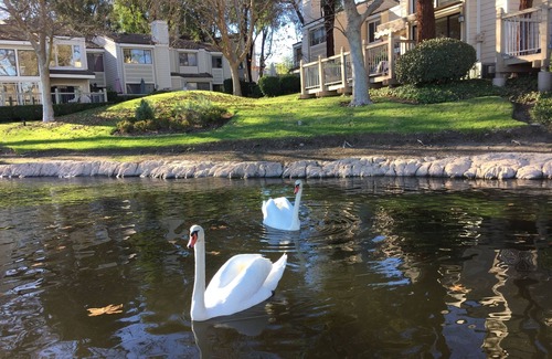 Westlake Village Casa | Frente al lago espectacular, amueblado, 3 dormitorios en Westlake Village, Californi