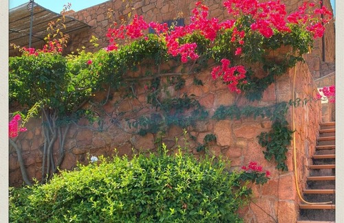 Osani Apartamento | Spend exceptional holidays in a protected village , by the sea