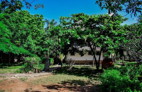 Galu Apartamento | Spice of the coast