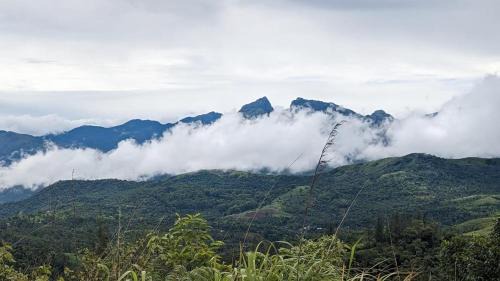 Mannarkkad Hotel | Spirit of the Wild Eco Village