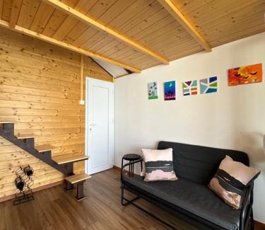 Ostruznica Apartamento | Splav na Savi