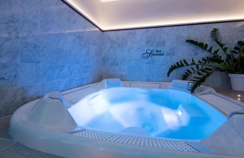 Nice City Centre Hotel | Splendid Hotel & Spa Nice