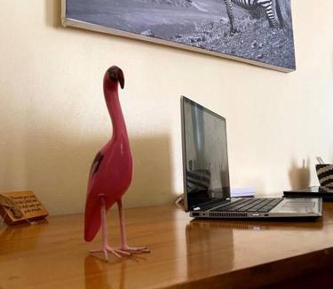 Hospital Apartamento | Splendid stay in Nakuru