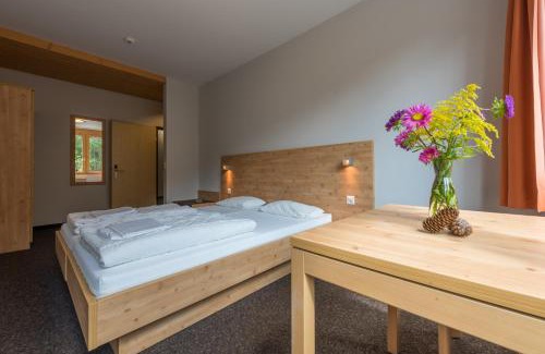 Fiesch Hostal | Sport Resort Fiesch - Fiescher Hostel