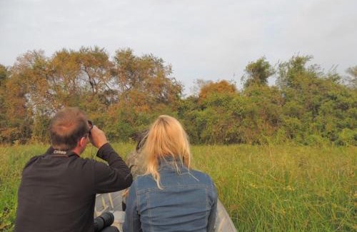 Nhecolandia Apartamento | Spot Jaguar Pantanal South Lodgen wild Jaguar Tour
