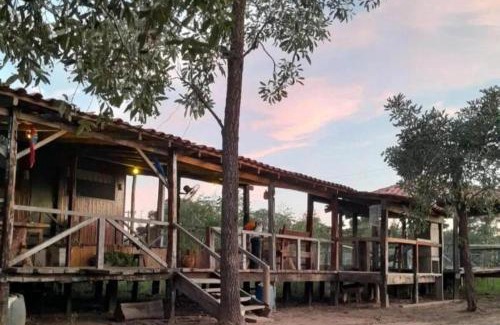 Nhecolandia Apartamento | Spot Jaguar Pantanal South Lodgen wild Jaguar Tour