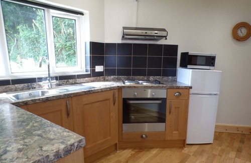 Laugharne Cabaña | SPRING GARDEN COTTAGE, pet friendly, with open fire in Laugharne