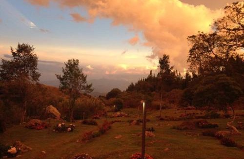 Kundasang Casa | Spring Garden