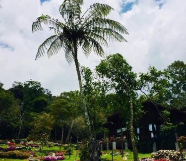 Kundasang Casa | Spring Garden