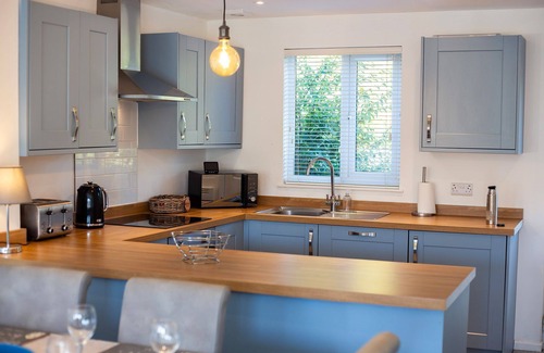 South Cerney Casa | Spring Lake 52, Eider Lodge (P) - Lakeside Holiday Cottage